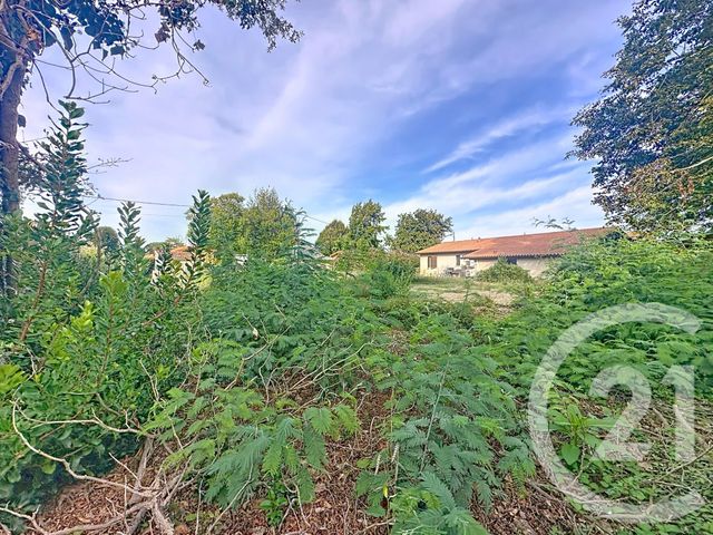terrain à vendre - 615.0 m2 - GUJAN MESTRAS - 33 - AQUITAINE - Century 21 Duprat & Associés
