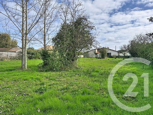 terrain à vendre - 1355.0 m2 - GUJAN MESTRAS - 33 - AQUITAINE - Century 21 Duprat & Associés