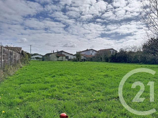 terrain à vendre - 1355.0 m2 - GUJAN MESTRAS - 33 - AQUITAINE - Century 21 Duprat & Associés