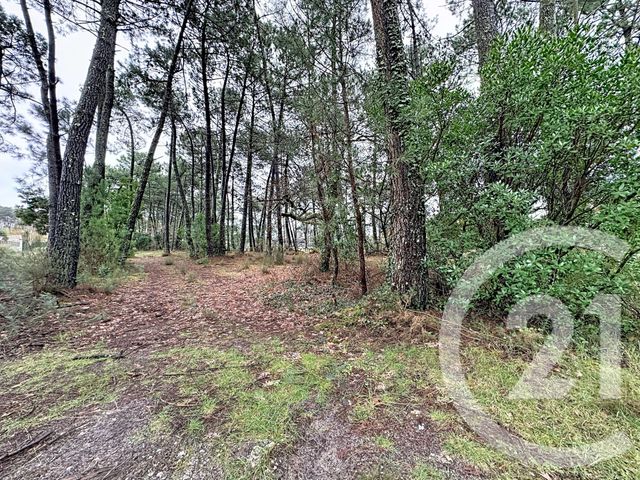 terrain à vendre - 3796.0 m2 - GUJAN MESTRAS - 33 - AQUITAINE - Century 21 Duprat & Associés
