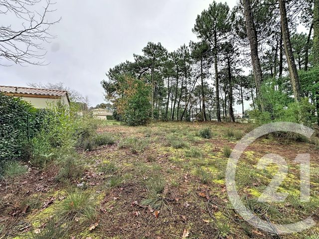 terrain à vendre - 3796.0 m2 - GUJAN MESTRAS - 33 - AQUITAINE - Century 21 Duprat & Associés