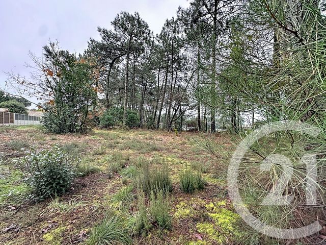 terrain à vendre - 3796.0 m2 - GUJAN MESTRAS - 33 - AQUITAINE - Century 21 Duprat & Associés