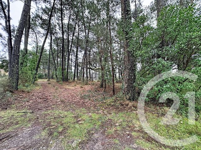 terrain à vendre - 3796.0 m2 - GUJAN MESTRAS - 33 - AQUITAINE - Century 21 Duprat & Associés