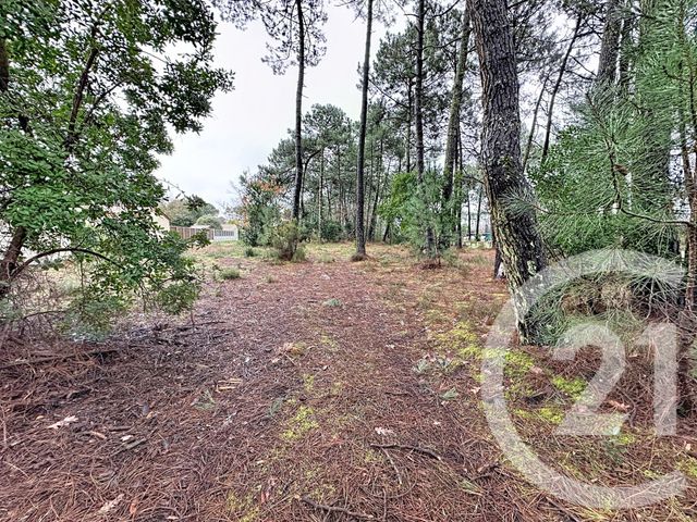 terrain à vendre - 3796.0 m2 - GUJAN MESTRAS - 33 - AQUITAINE - Century 21 Duprat & Associés