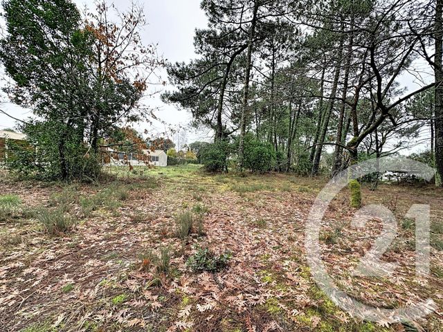 terrain à vendre - 3796.0 m2 - GUJAN MESTRAS - 33 - AQUITAINE - Century 21 Duprat & Associés