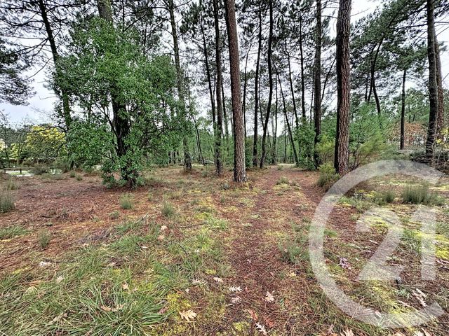 terrain à vendre - 3796.0 m2 - GUJAN MESTRAS - 33 - AQUITAINE - Century 21 Duprat & Associés